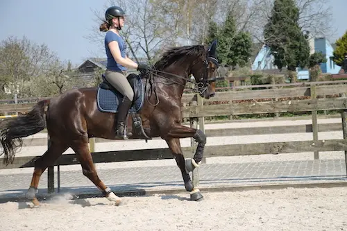 Hoe maak ik mijn paard sterker onder het zadel?